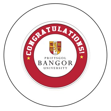Bangor University Graduation Bear