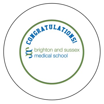Brighton and Sussex Medical School Graduation Bear