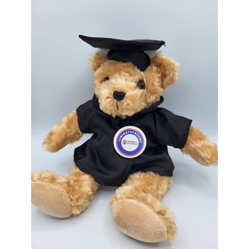 University of London UoL Graduation Bear